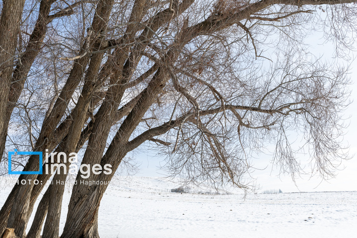 سهند سپیدپوش