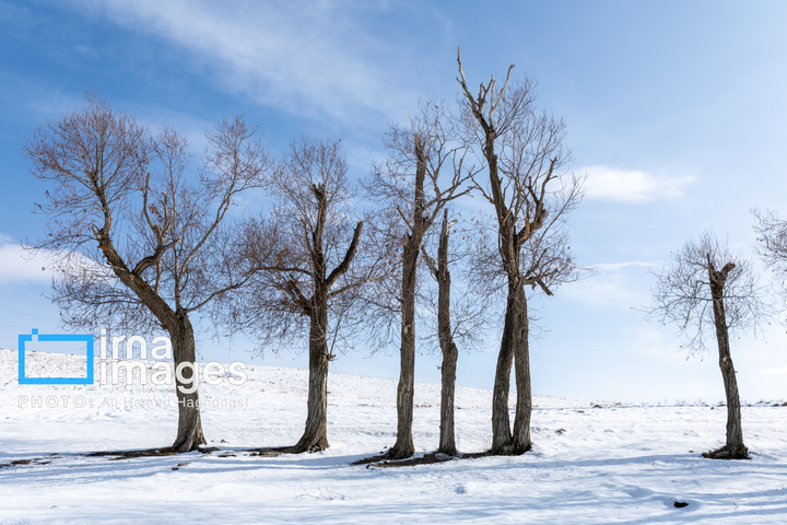 سهند سپیدپوش