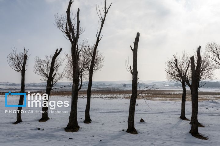 سهند سپیدپوش