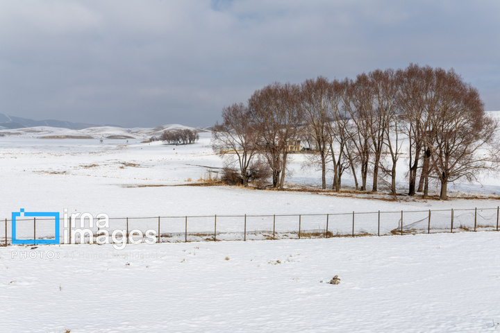 سهند سپیدپوش