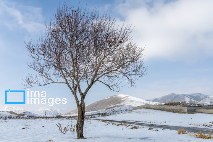 سهند سپیدپوش