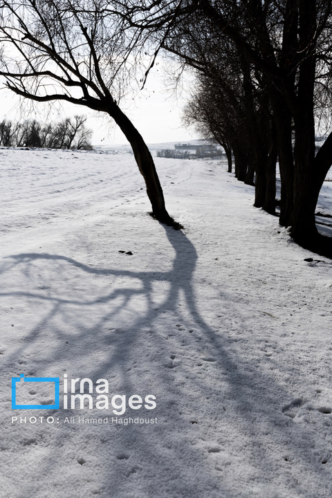 سهند سپیدپوش