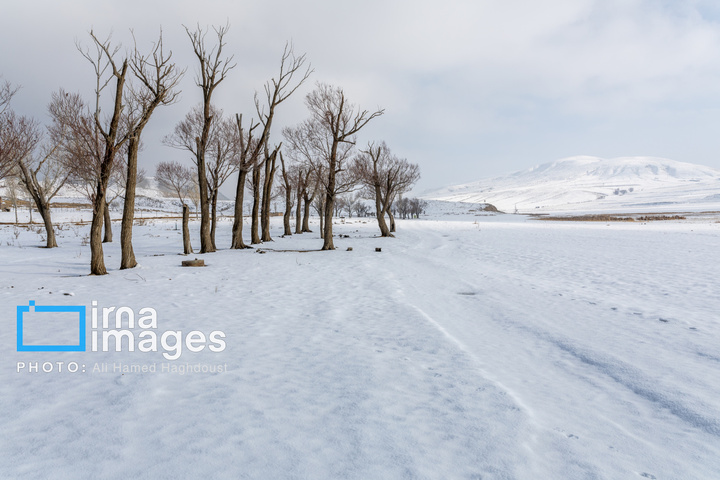 سهند سپیدپوش