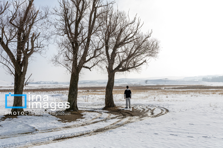 سهند سپیدپوش