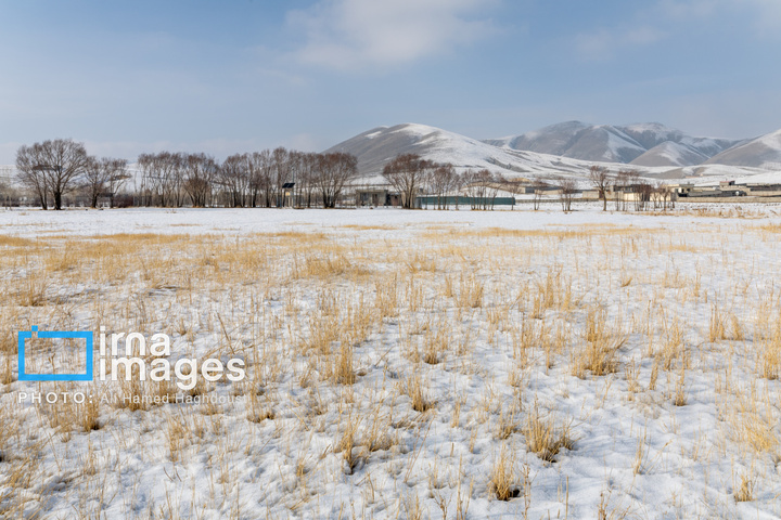 سهند سپیدپوش