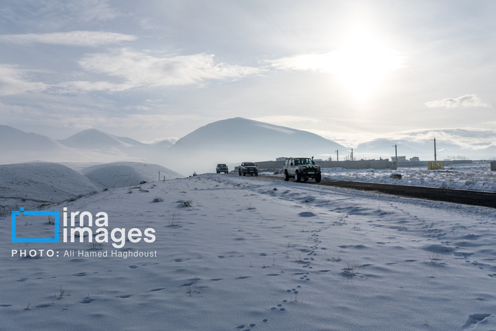 سهند سپیدپوش