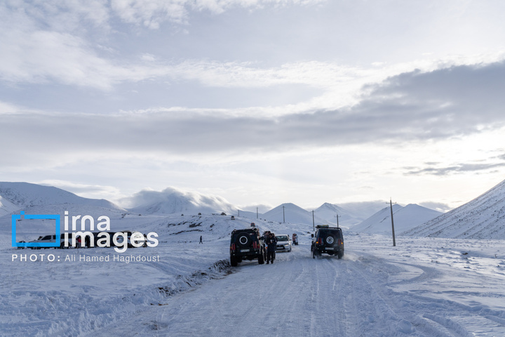 سهند سپیدپوش