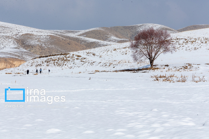 سهند سپیدپوش