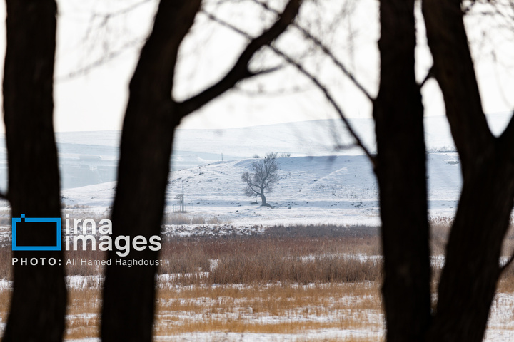 سهند سپیدپوش