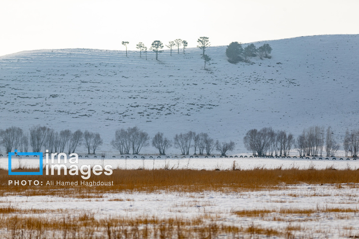 سهند سپیدپوش