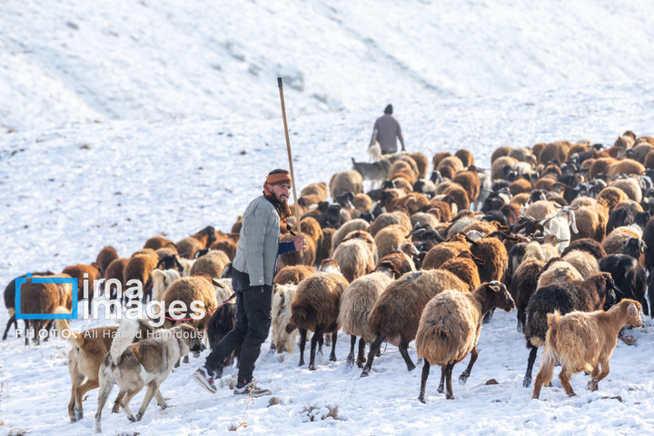 سهند سپیدپوش