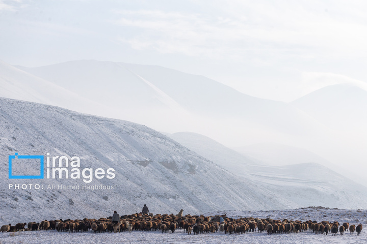 سهند سپیدپوش