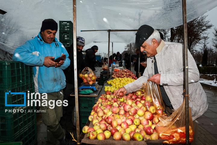 بارش برف در اراک