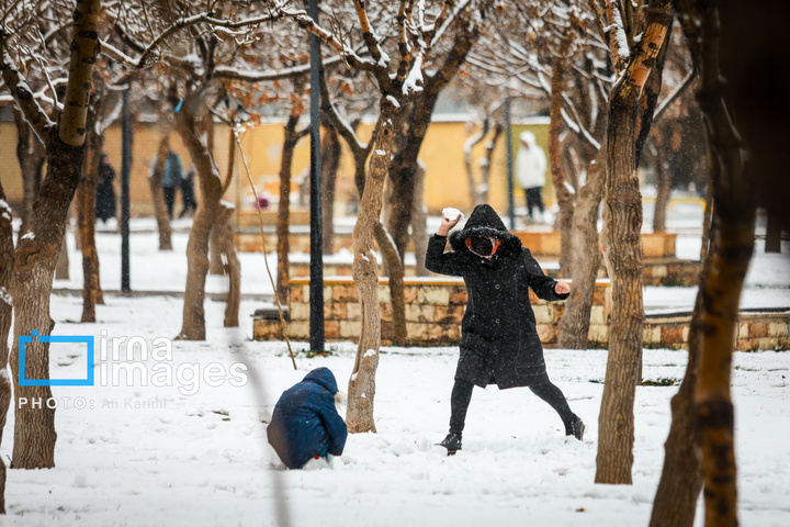 بارش برف در اراک
