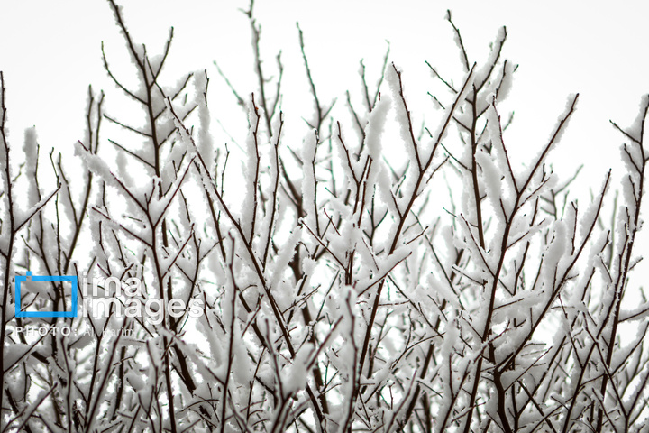 بارش برف در اراک