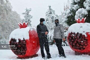 برف پاییزی در همدان