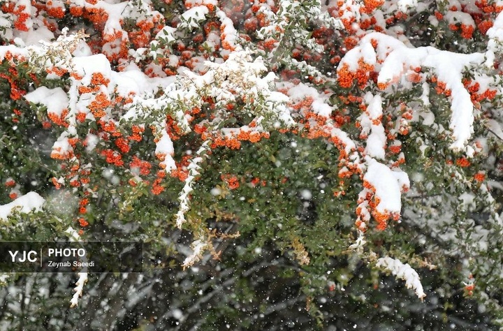 برف پاییزی در همدان