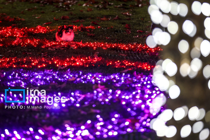 جشنواره نور در یلدای ایرانی