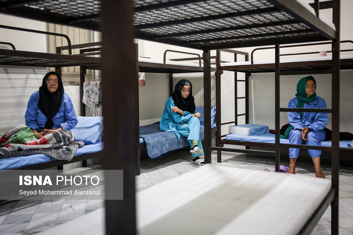 گرمخانه سبز مشهد