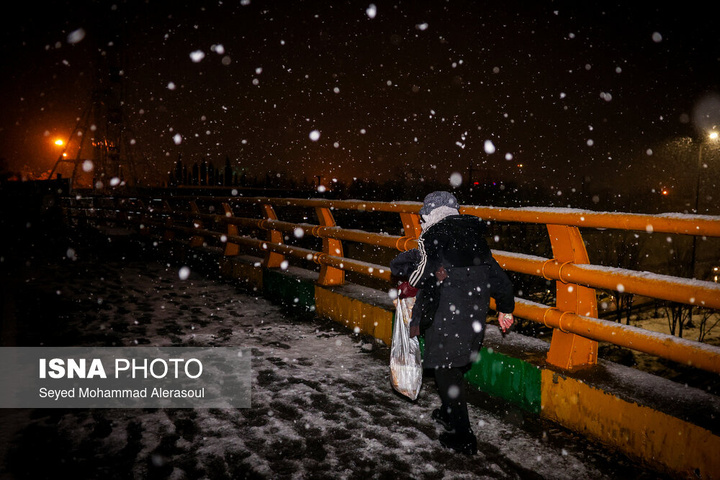 گرمخانه سبز مشهد