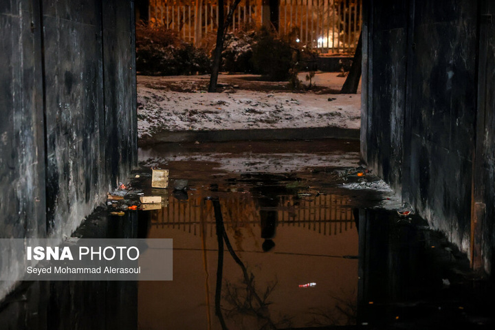 گرمخانه سبز مشهد