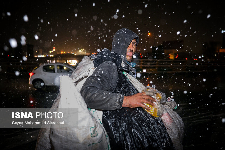 گرمخانه سبز مشهد
