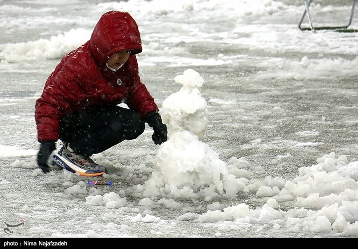 بارش برف در حرم مطهر رضوی