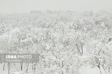بارش شدید برف - مشهد