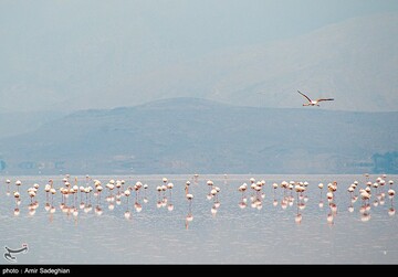 جانی تازه بر تن دریاچه مهارلو