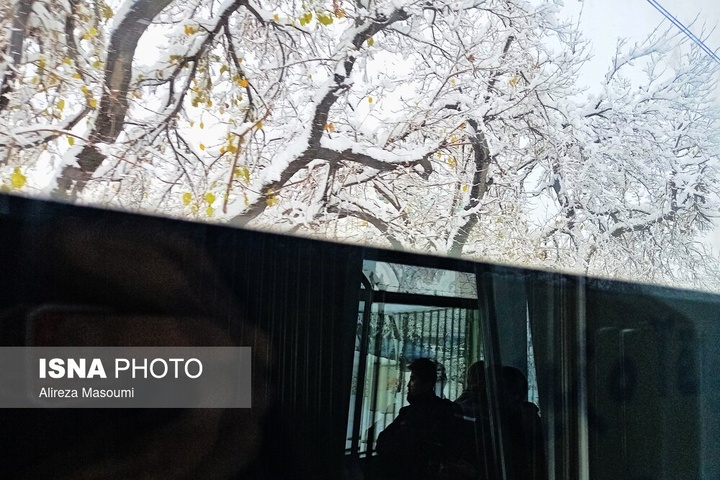 بارش شدید برف - مشهد