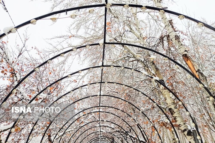 بارش شدید برف - مشهد