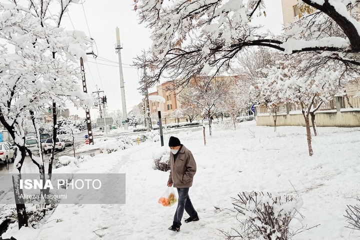 بارش شدید برف - مشهد
