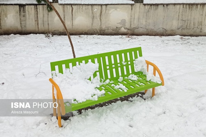 بارش شدید برف - مشهد