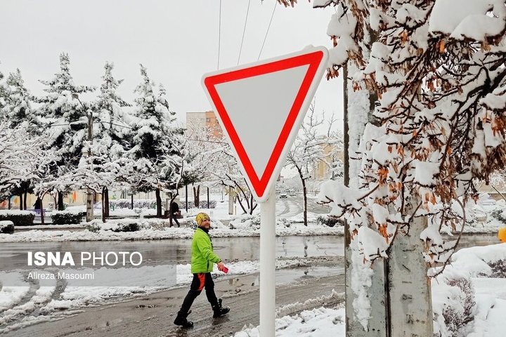بارش شدید برف - مشهد
