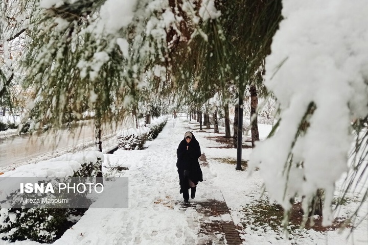 بارش شدید برف - مشهد