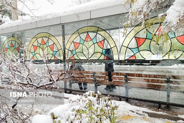 بارش شدید برف - مشهد