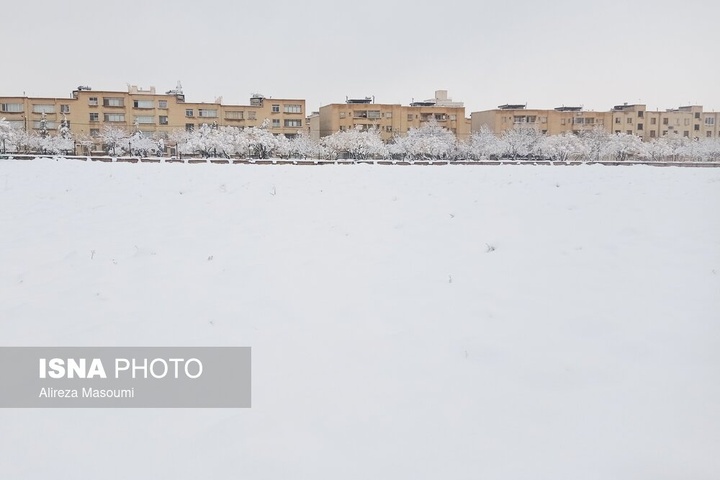 بارش شدید برف - مشهد