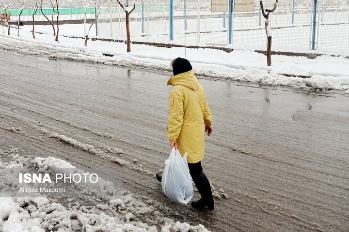 بارش شدید برف - مشهد