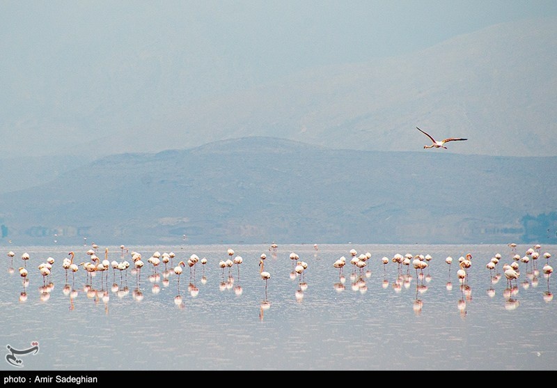 جانی تازه بر تن دریاچه مهارلو