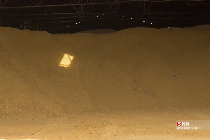 پرورش دام و تولید شیر خام