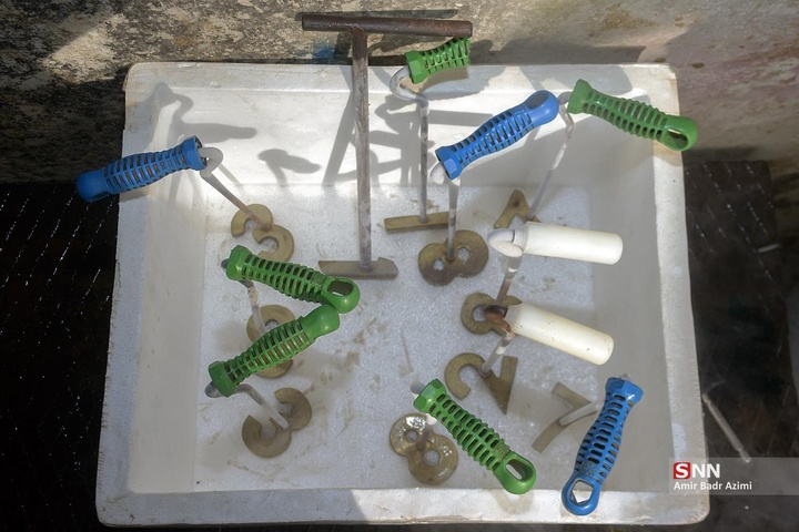 پرورش دام و تولید شیر خام