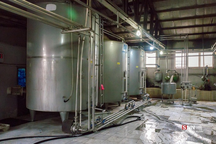 پرورش دام و تولید شیر خام