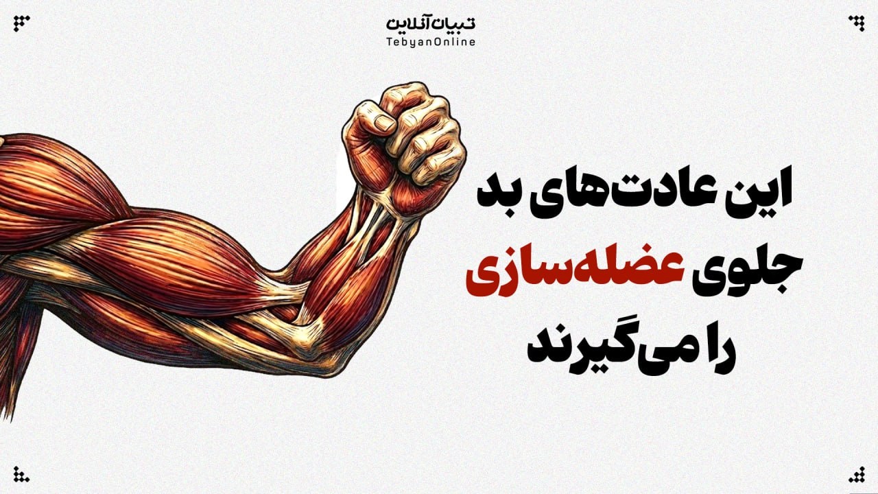 این عادتهای بد جلوی عضلهسازی را میگیرند این عادتهای بد جلوی عضلهسازی را میگیرند