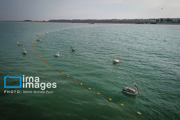 بازگشت غارغارک‌ها