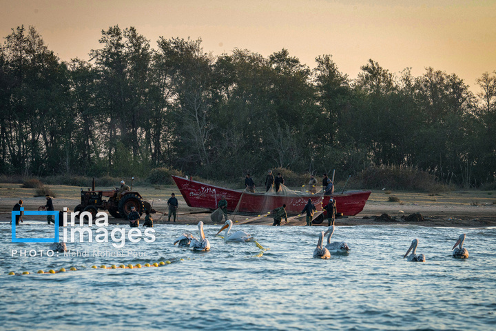 بازگشت غارغارک‌ها