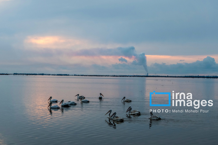 بازگشت غارغارک‌ها