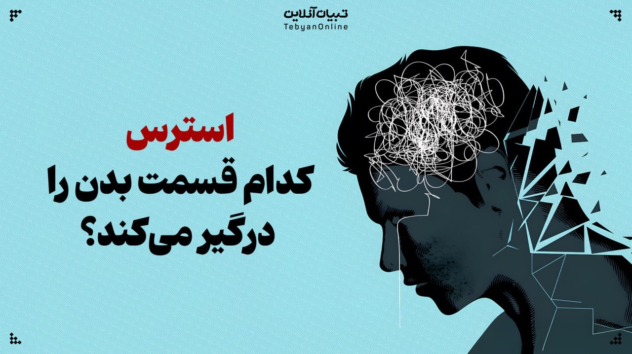 استرس کدام قسمت بدن را درگیر می‌کند؟