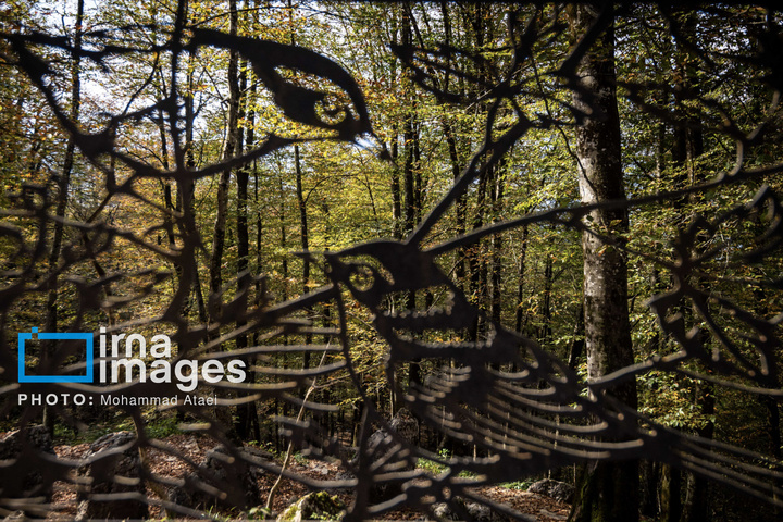 مجموعه تفریحی نمک‌آبرود