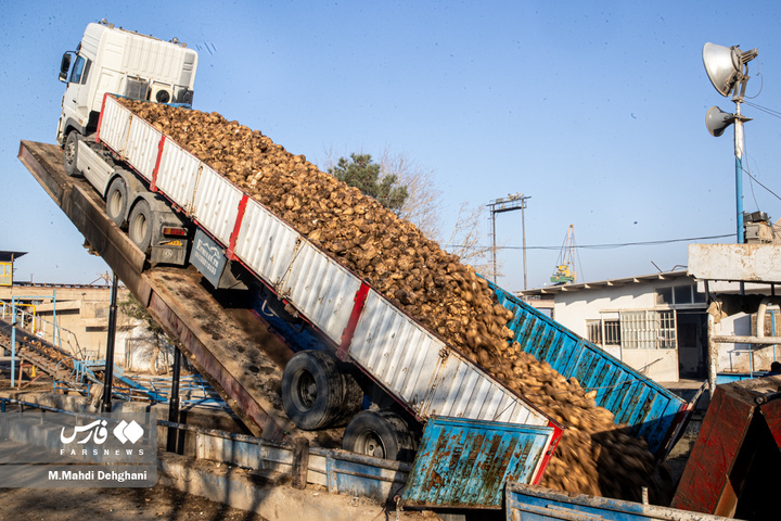 گام‌های ملی در مسیر خوداتکایی تولید شکر