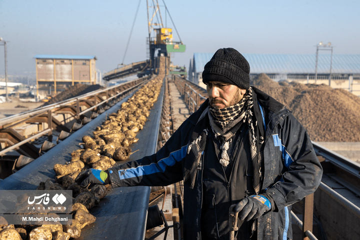 گام‌های ملی در مسیر خوداتکایی تولید شکر